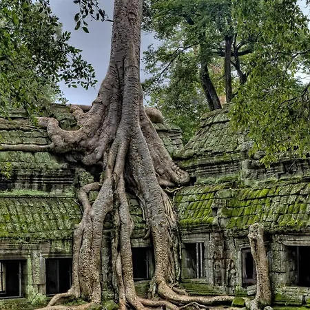 Green House
