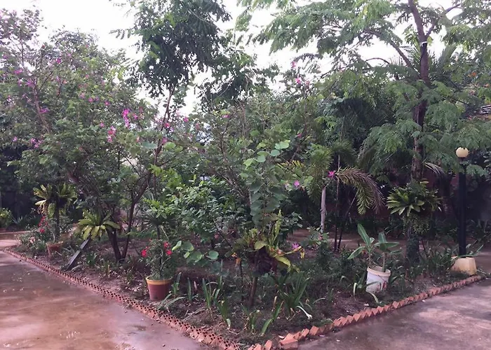 Green House Hotel Siem Reap
