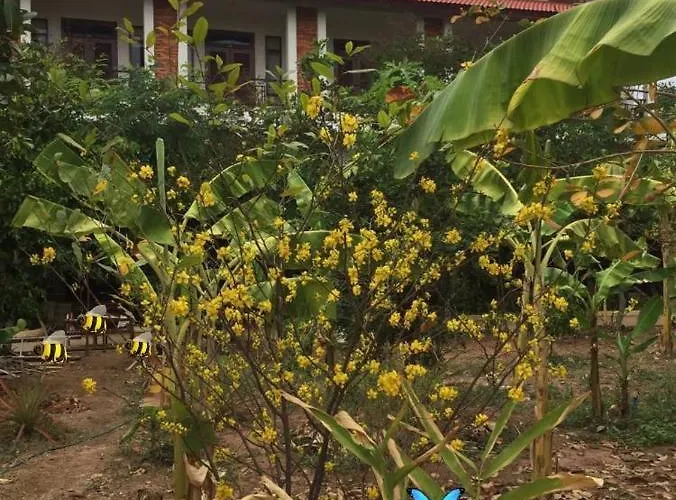 Hotel Green House
