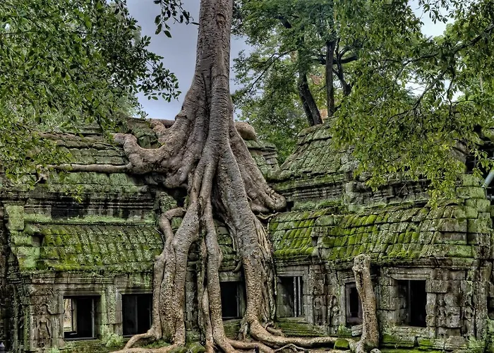 Green House Siem Reap